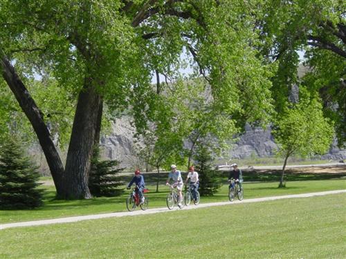 Billings 3