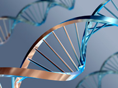 Picture of double helix