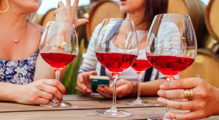 Women Talking And Drinking Rose Wine