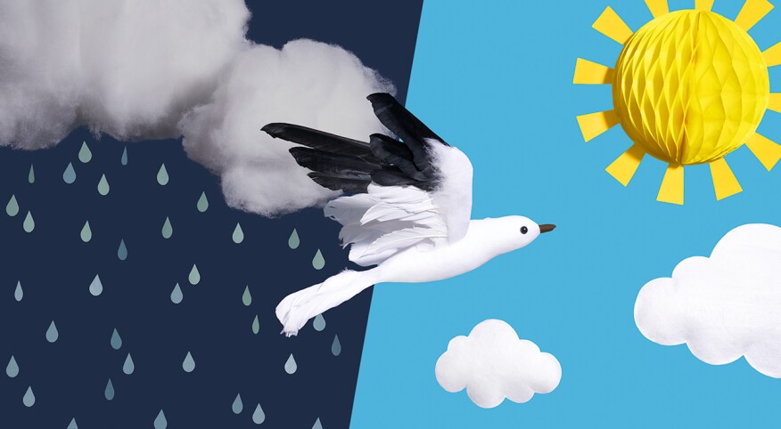 Bird flying through a rainy day background and into a sunny day background 