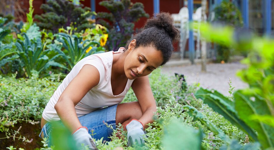 Woman tending to her garden plants in her front yard