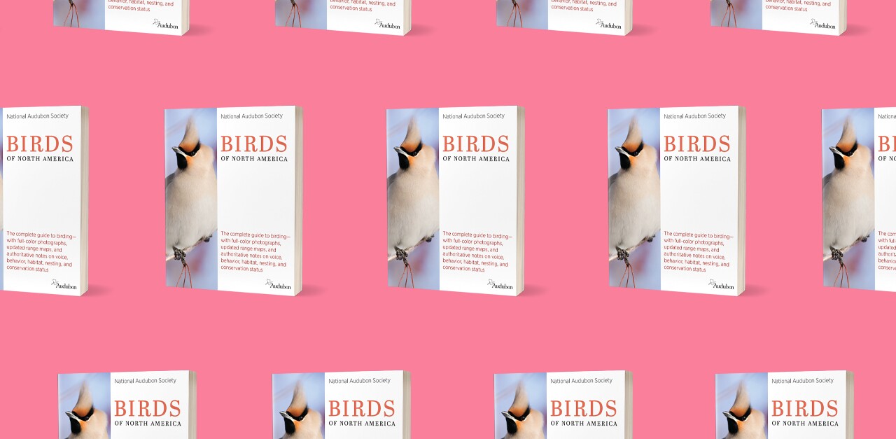 BirdsOfNorthAmerica Ethel Book Giveaway 1280x704_pink.jpg