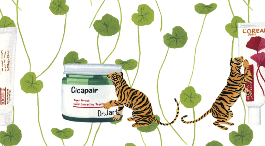 Illustration of tigers next to skin care products with tiger grass in the background