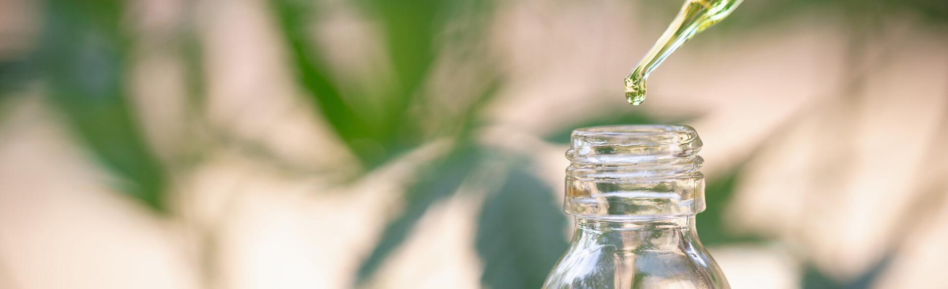 Jar with CBD oil being taken out by a dropper.