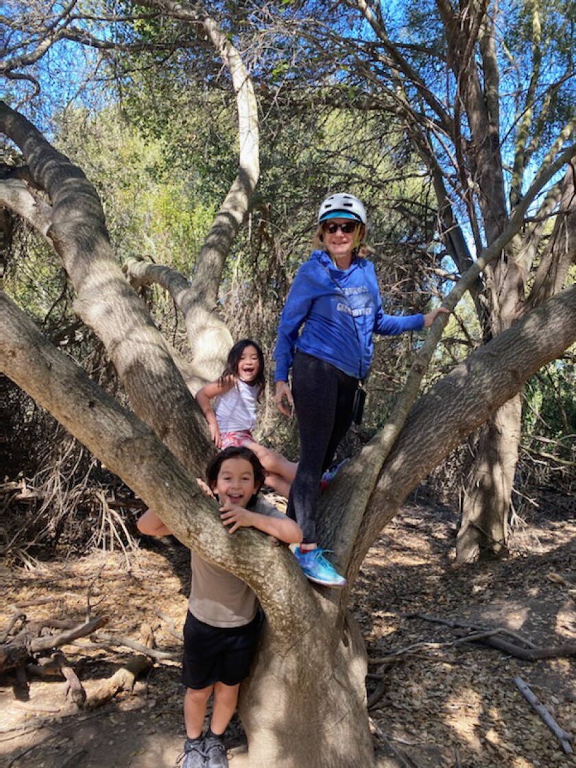 author Judy Rabinor climbing a tree with her grandchildren