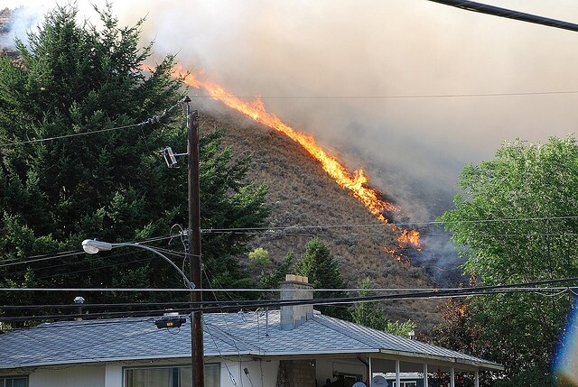 wildfire