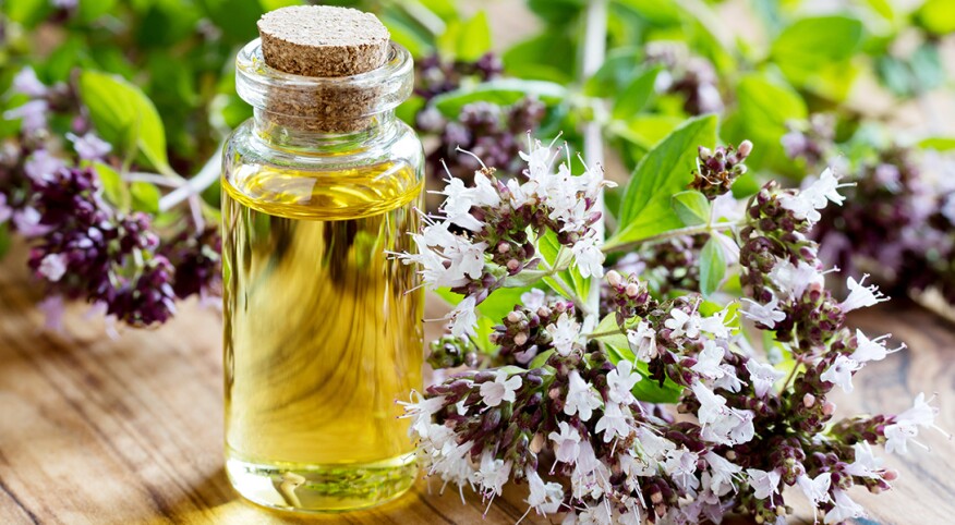 A bottle of oregano essential oil with blooming oregano twigs on a wooden background