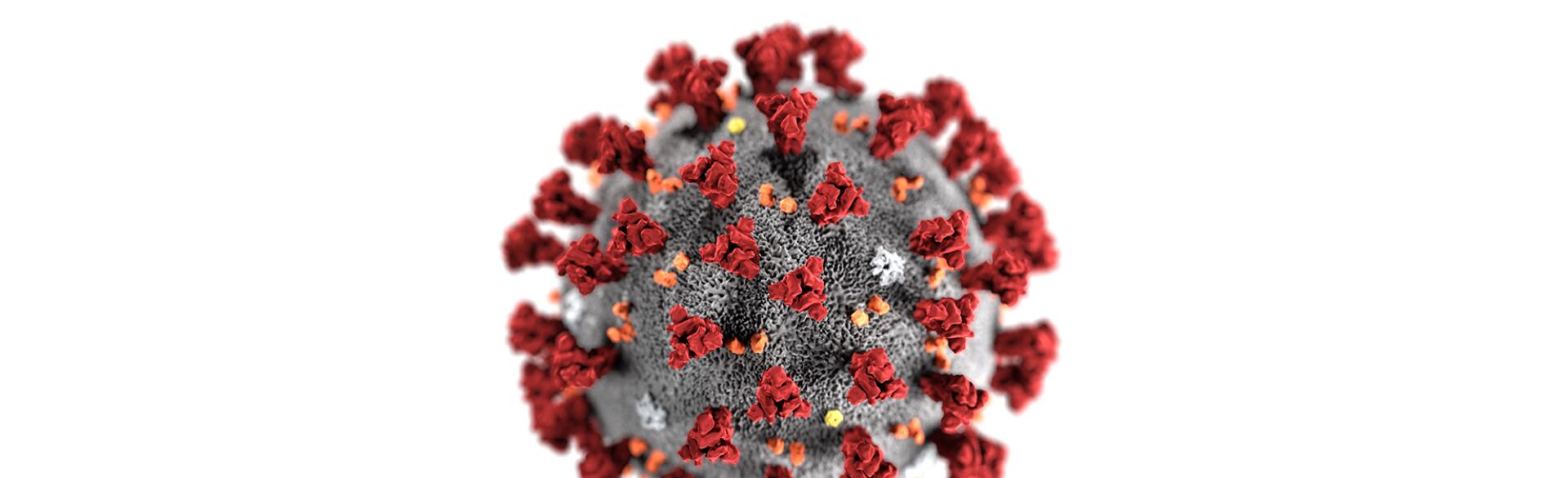 Coronavirus Illustration