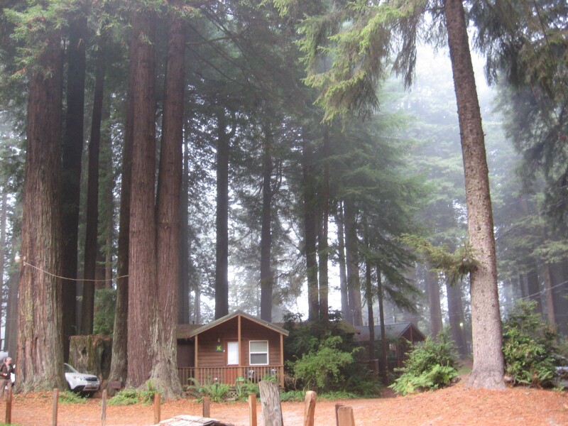 AlBlogCabin