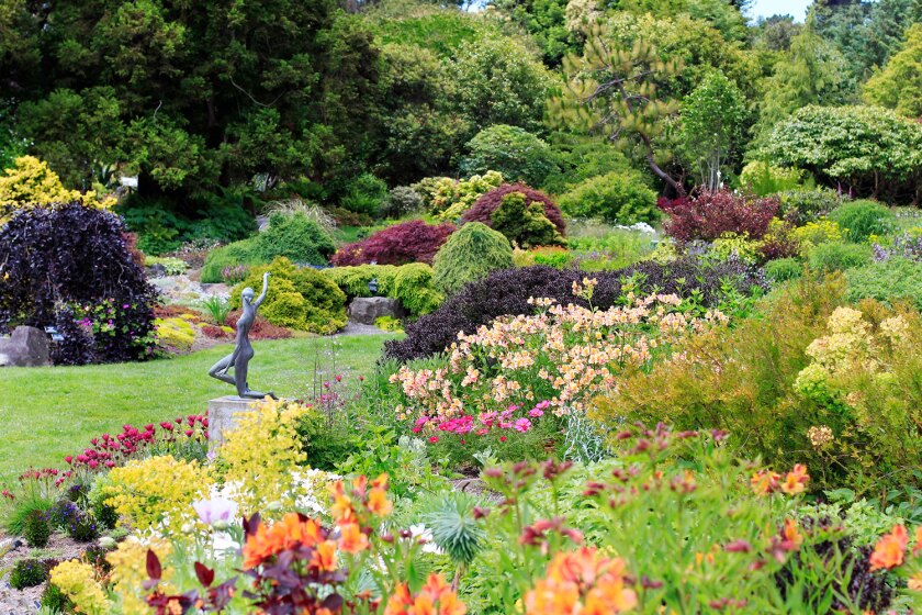 Perennial Garden at Mendocino Coast Botanical Gardens.