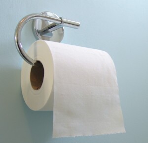 Roll of toilet paper on wall holder