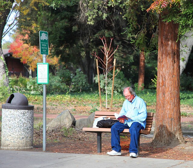 senior on park bench