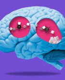 image of brain with sugar cubes moving on conveyor belt