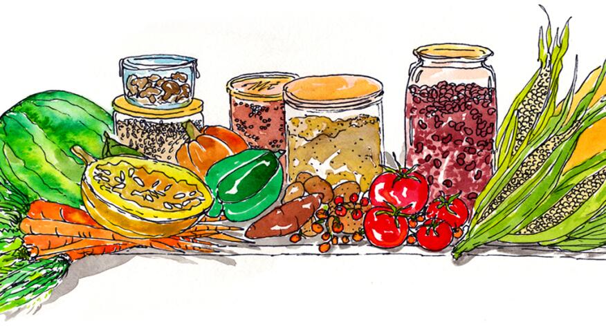 illustration of lectin free foods