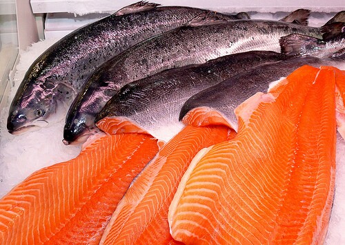 salmon
