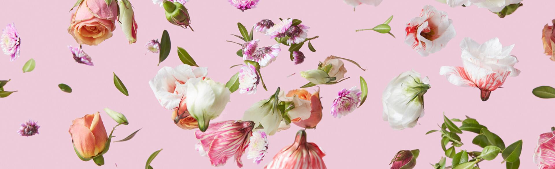 Flying Flowers Mix Background.