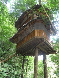 finca-bellavista14
