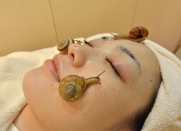 snailgetty
