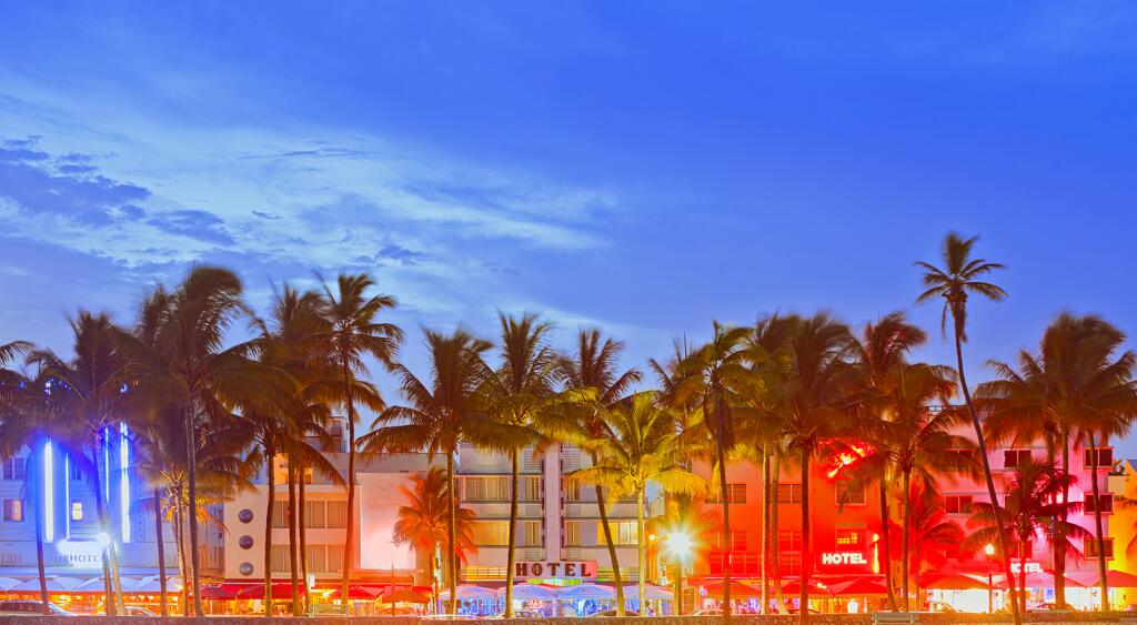 Palm trees and buildings in Miami during the sunset