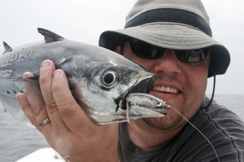 False Albacore Tuna (Close Up)