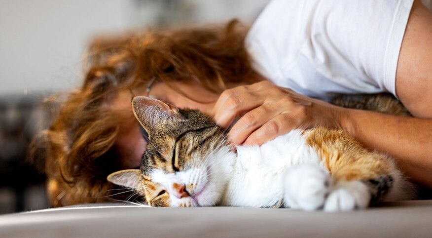 Cat snuggles with woman