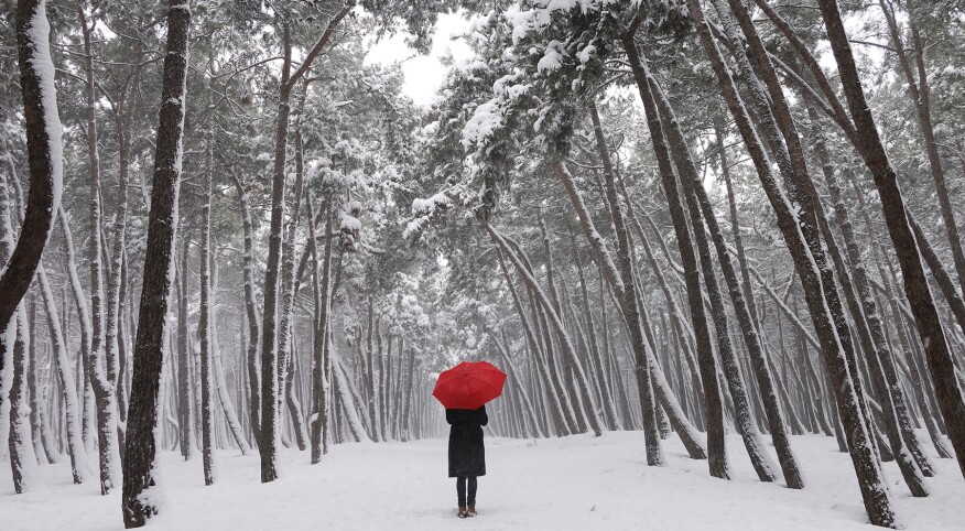 image_of_woman_walking_outside_in_snow_with_umbrella_GettyImages-638697420_1800