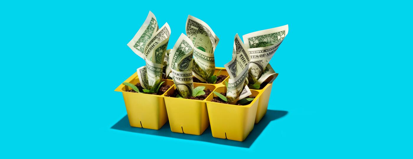 Dollar bills growing out of starter pots like flowers