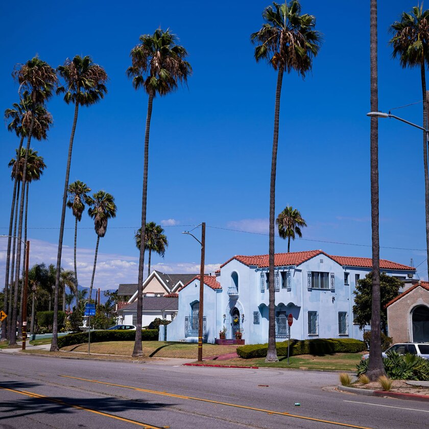 Street lined with palm trees and views of downtown Los Angeles from View Park neighborhood.