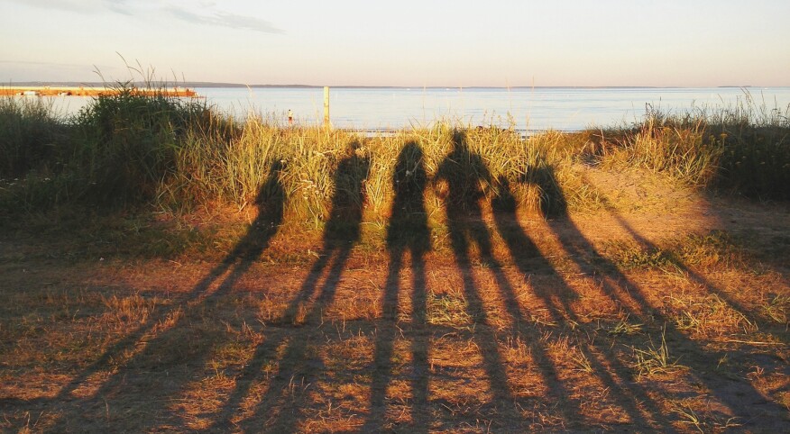Shadows of a family of six against grasses near a coastline