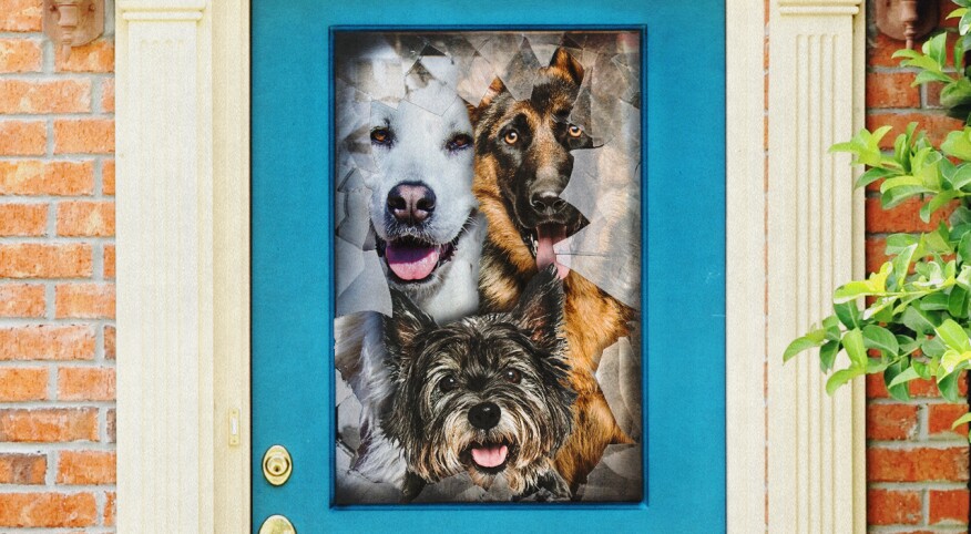 Great Pyrenees, German Shepherd, and Cairn Terrior poking their heads through broken front door window