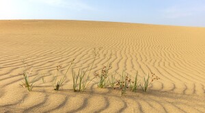 image_of_desert_GettyImages-1211800236_1800