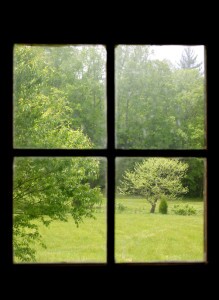 looking out a window