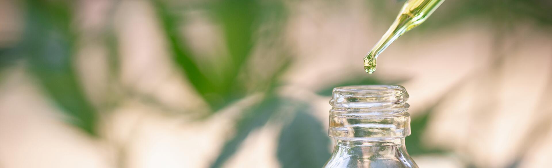 Jar with CBD oil being taken out by a dropper.