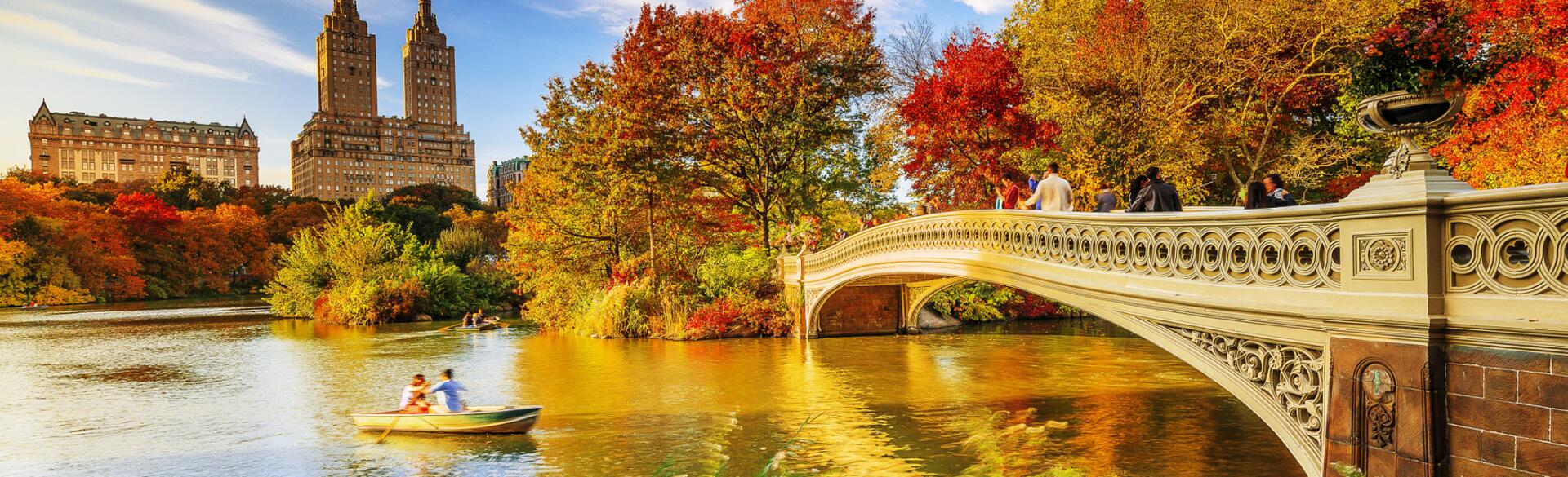 couple in row boat in the fall going under a bridge