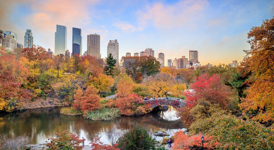 Fall in Central Park