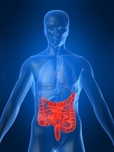 iStock_Colon