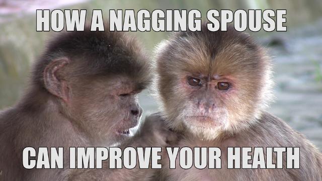 How a Nagging Spouse Can Improve Your Health - AARP