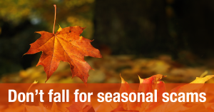 101514_SeasonalScam