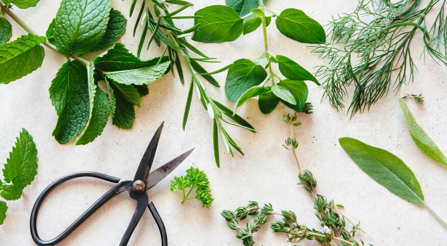 Various Herbs On Marble with scissors