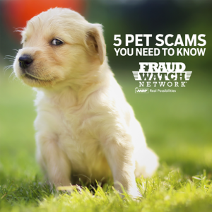 Pet scams