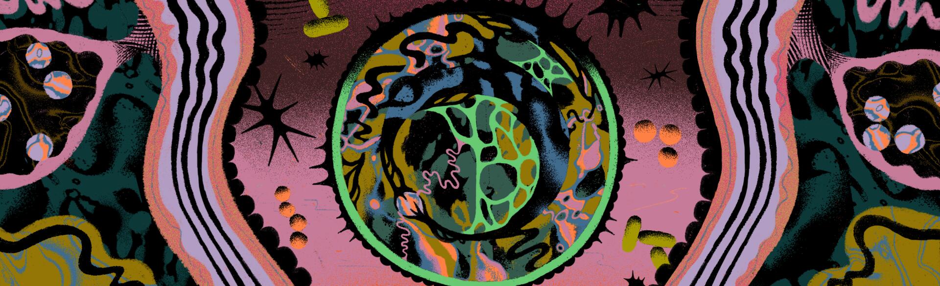 illustration of uterus with different colors throughout