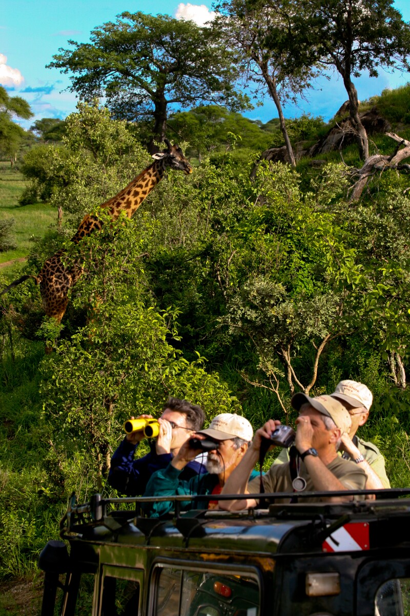 AARPafricarl-1