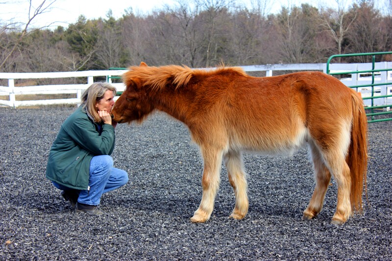 Fran Burns with her pony Gizmo