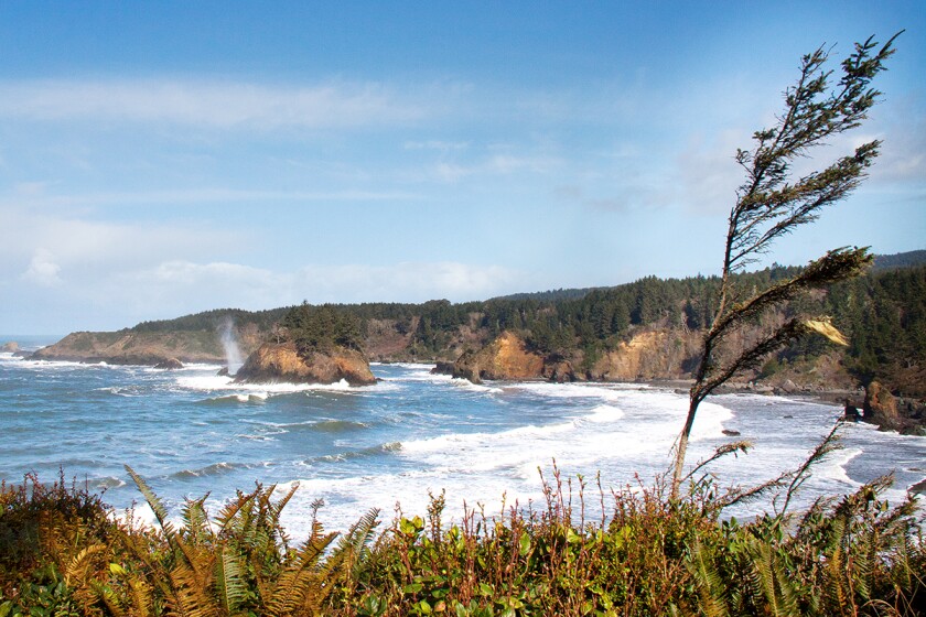 Overlook of a cove along the coast of Northern California