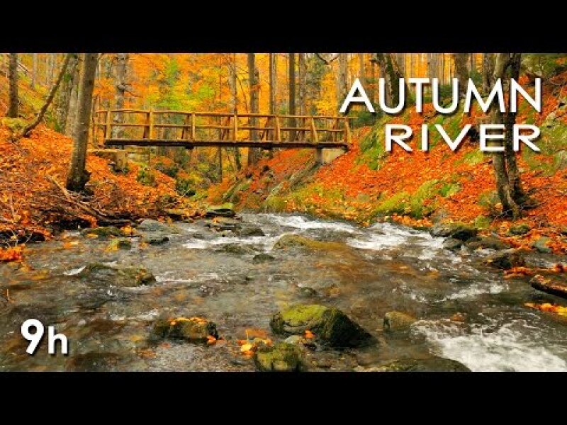 Autumn River Sounds -  Relaxing Nature Video - Sleep/ Relax/ Study - 9 Hours - HD 1080p