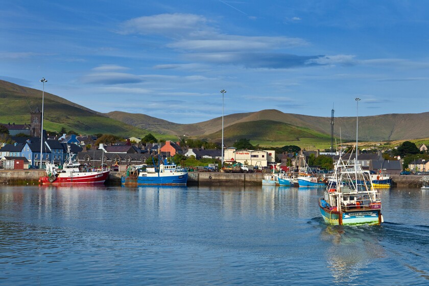 Returning Fishing Boat, Dingle Town Harbour, Dingle Peninsula, County Kerry, Ireland