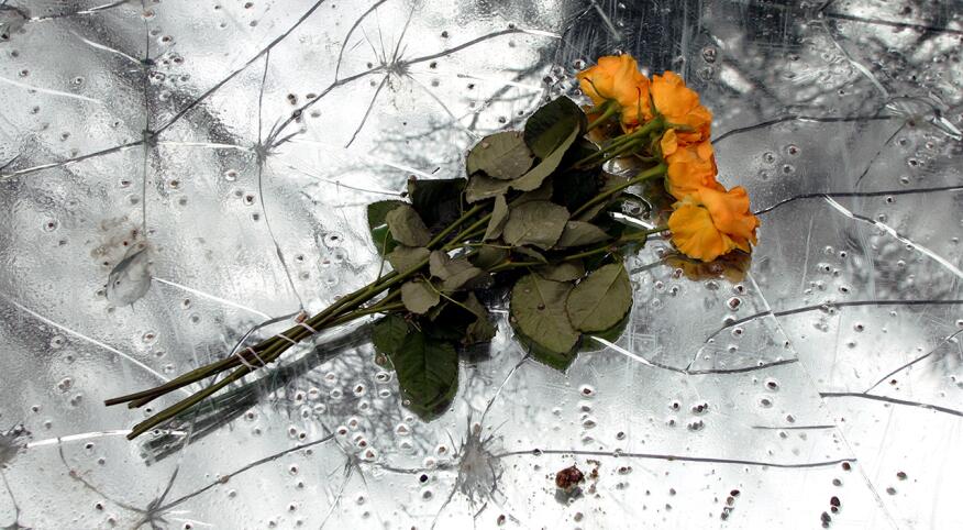Cut roses on distressed metal