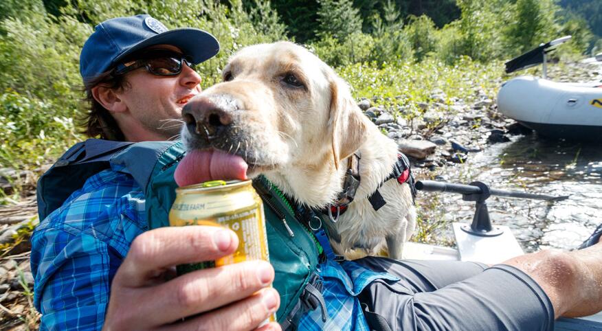 A sneaky pup grabs a lick of his owner's beer during a fly fishing float in Idaho.