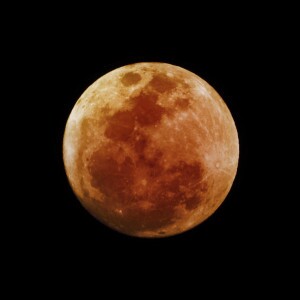 iStock_000033953440Medium