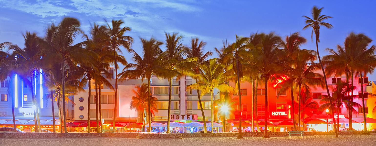 Palm trees and buildings in Miami during the sunset